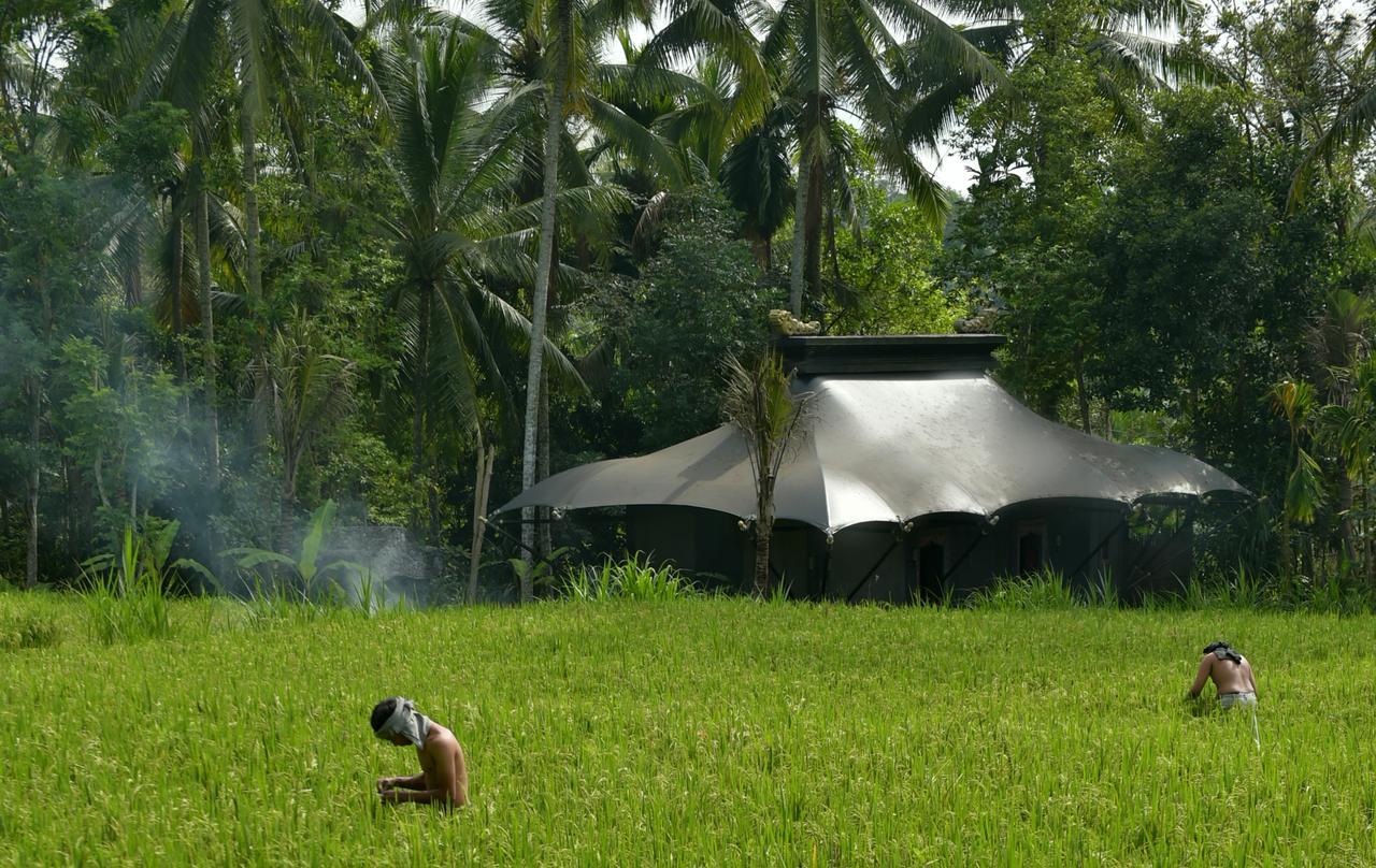 Capella Ubud, Bali Zewnętrze zdjęcie