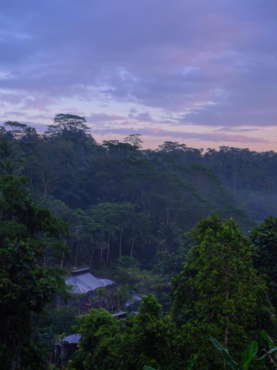 Capella Ubud, Bali Zewnętrze zdjęcie