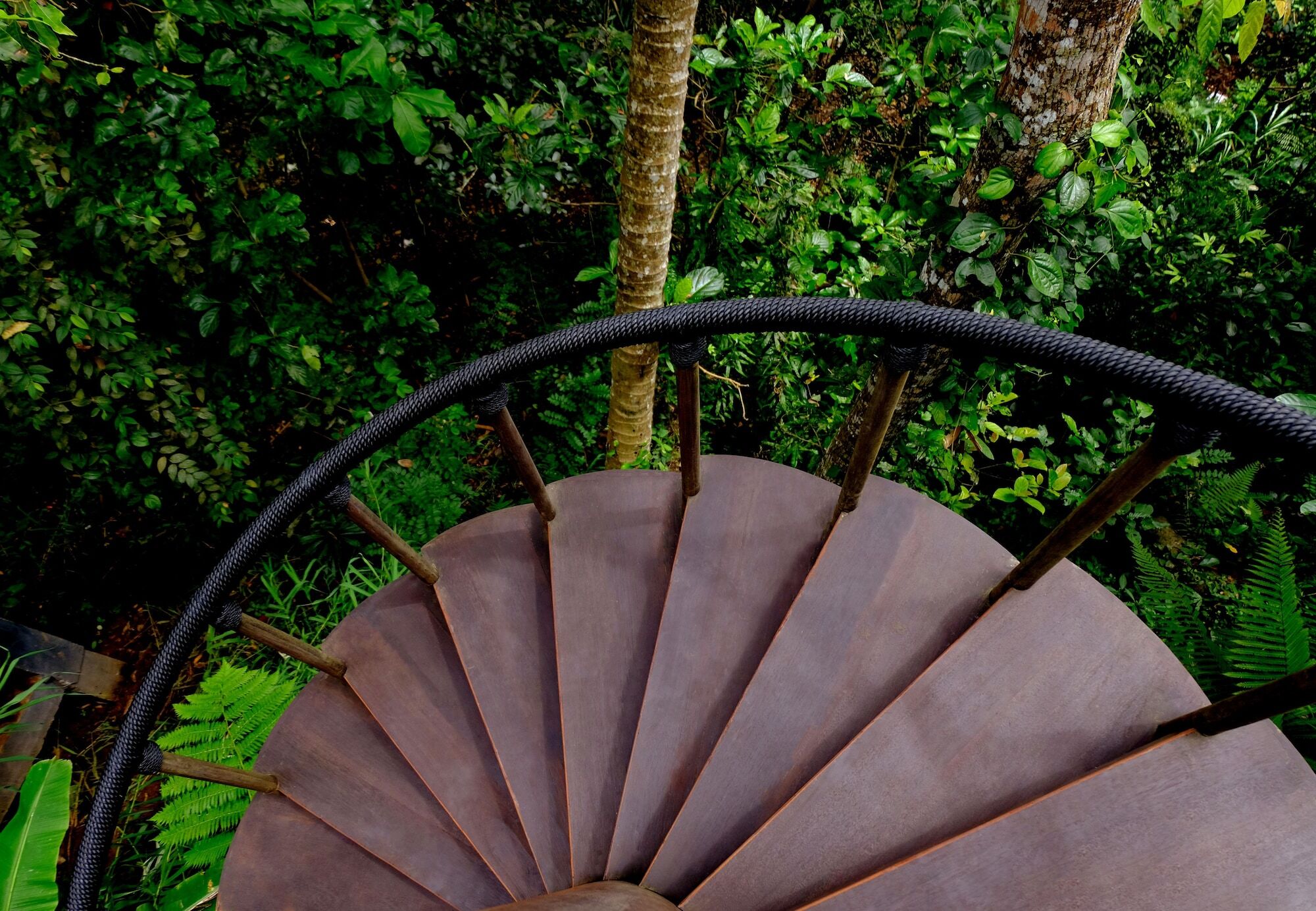 Capella Ubud, Bali Zewnętrze zdjęcie